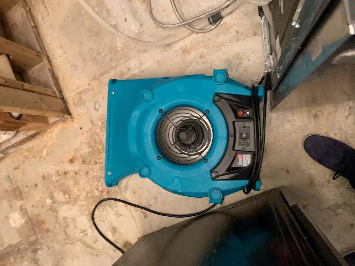 Air mover drying equipment for Mold Remediation & Removal in Tamaqua